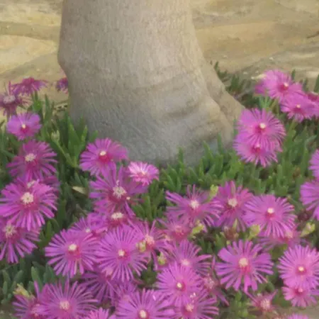 Direkt Am Liegendes Mit Garten By Interhome Διαμέρισμα Μεντουλίν