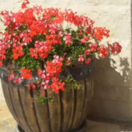 Lejlighed Direkt Am Liegendes Mit Garten By Interhome *